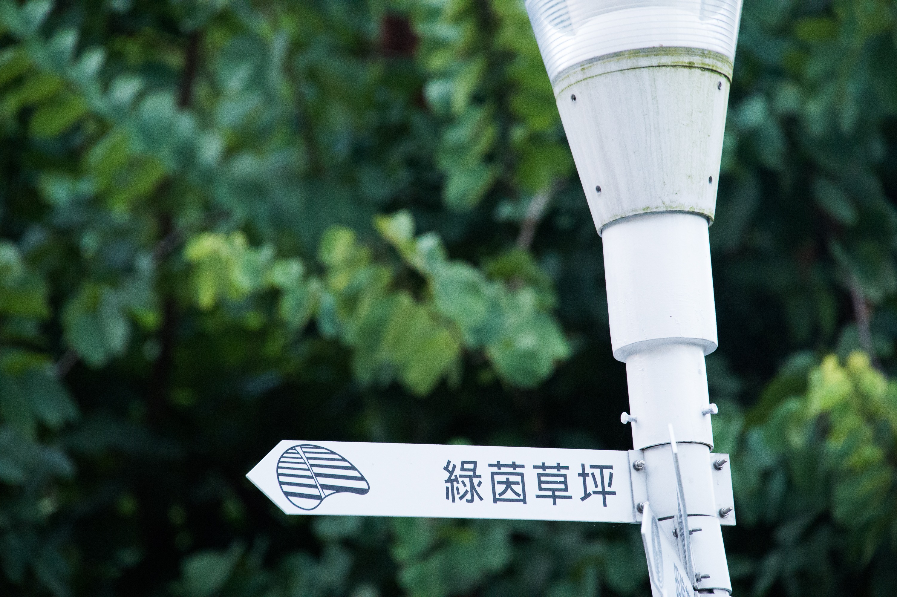 靈靜蜜語 70