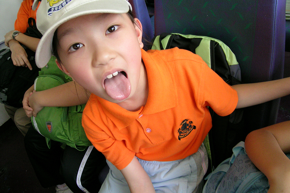 2006年 11
