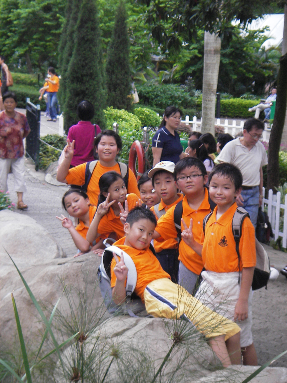 2006年 33